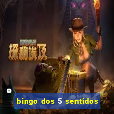 bingo dos 5 sentidos